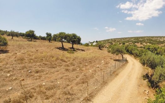 Premium Land Investment in Kilada, Argolis