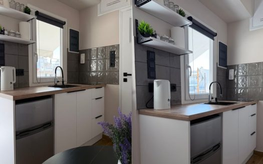 Fully Renovated 15m² Studio with Terrace in Kypseli