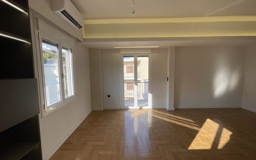 Newly Renovated Apartment in Pagrati