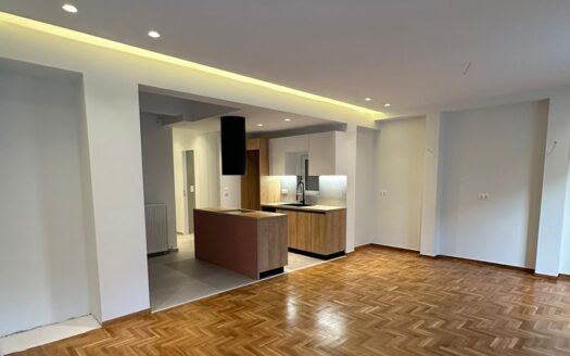 Newly Renovated Apartment in Pagrati