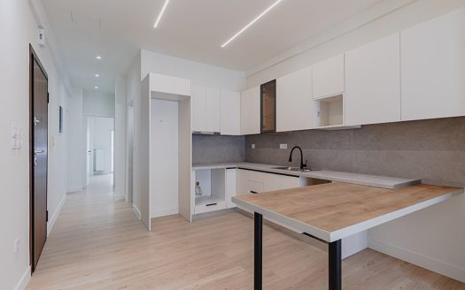 Fully Renovated 2-Bedroom Apartment in Ilisia