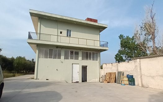 Golden Visa Investment Opportunity in Pallini