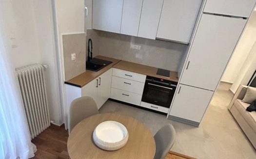 Renovated Studio Apartment in Pagrati